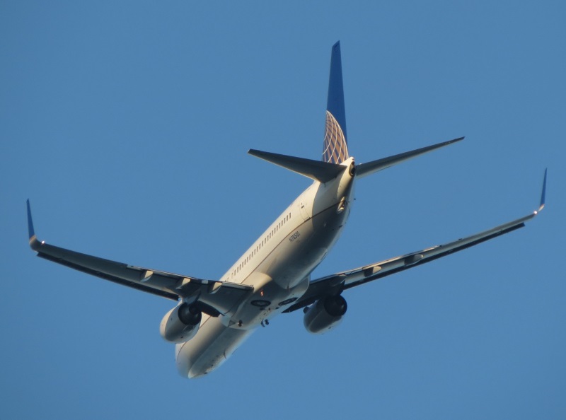 Boeing 737-800