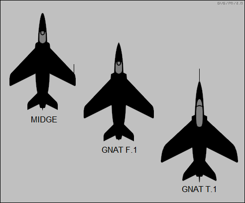 Midge versus Gnat