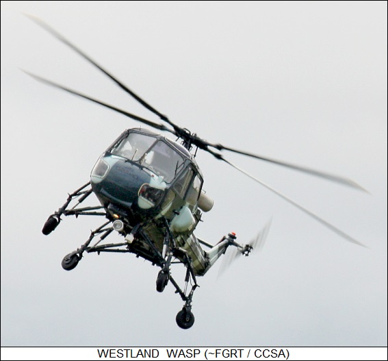 Westland Wasp